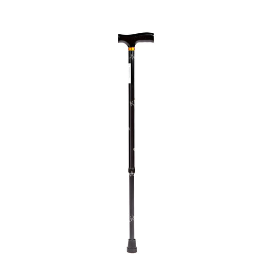 WALKING STICK